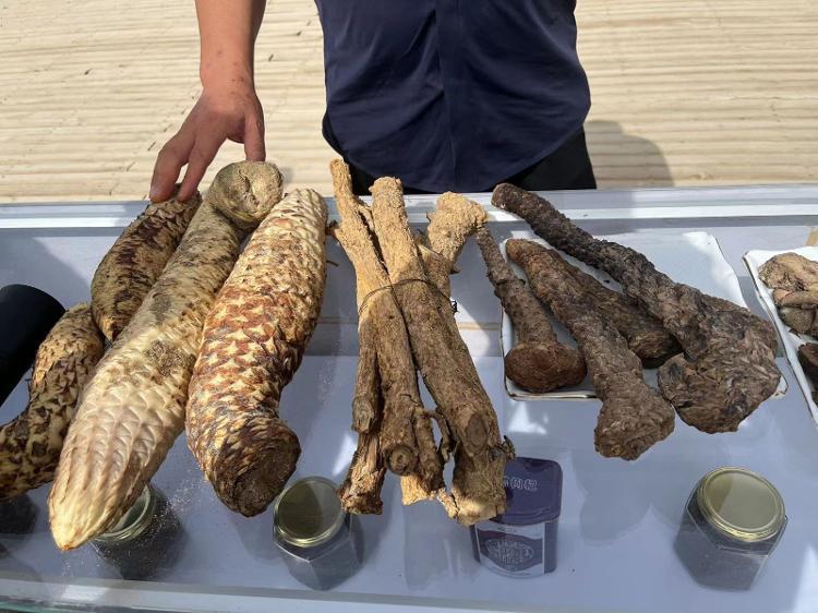 木牌小掛飾背面的字是什么意思_小木牌_木牌小雕刻機