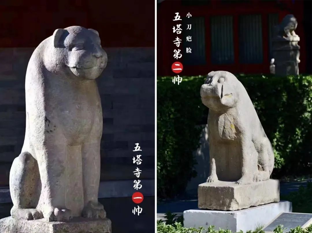 浮雕和圓雕的區別_浮雕和圓雕有什么區別_浮雕與圓雕特點有何不同