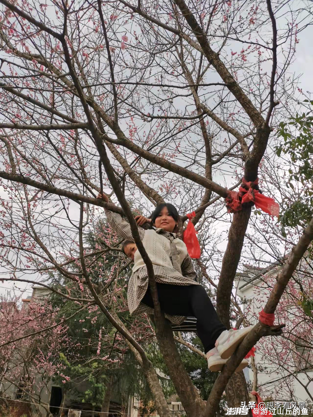 李姓大門門匾題字_李氏門牌匾怎么寫_李姓匾額