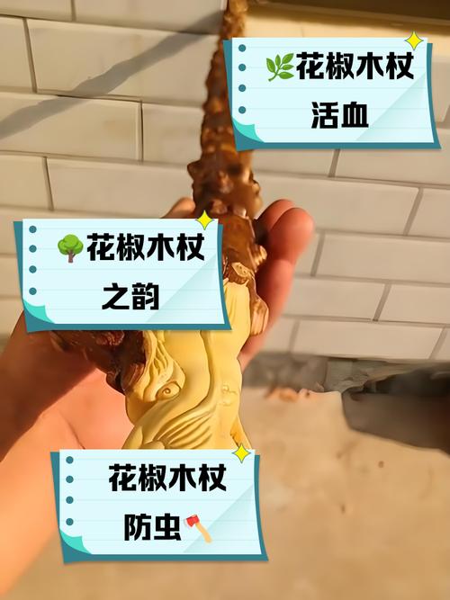 好木材有哪些_農村老人拐杖木材_六道木拐杖優點