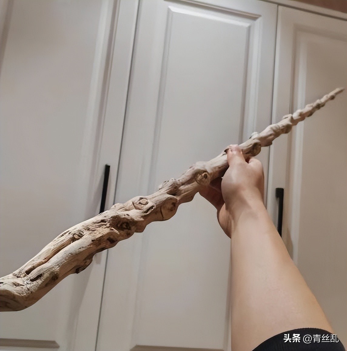 六道木拐杖優點_農村老人拐杖木材_好木材有哪些